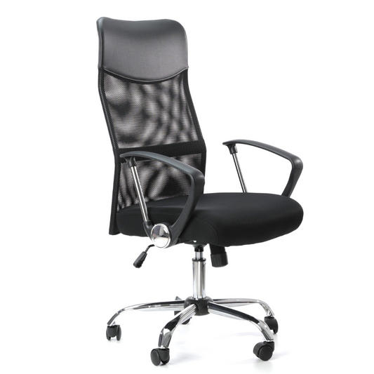 ErgoFlex Radna Stolica